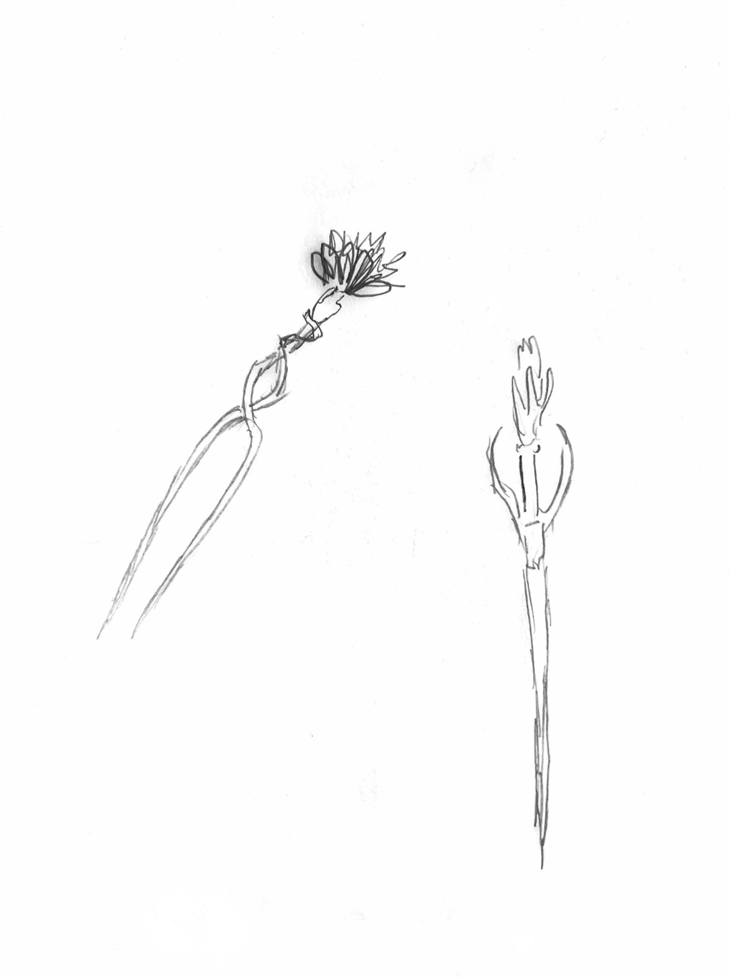 B980E40D-10B2-40BF-943D-A74CBD15C3B5 by Ruby Red Butler